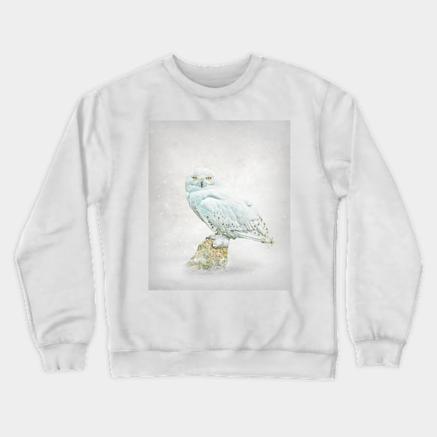 Snowy owl portrait Crewneck Sweatshirt by Tarrby